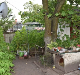 Foto 2. Terreno, en venta. Zhytomyr Гормолзавод