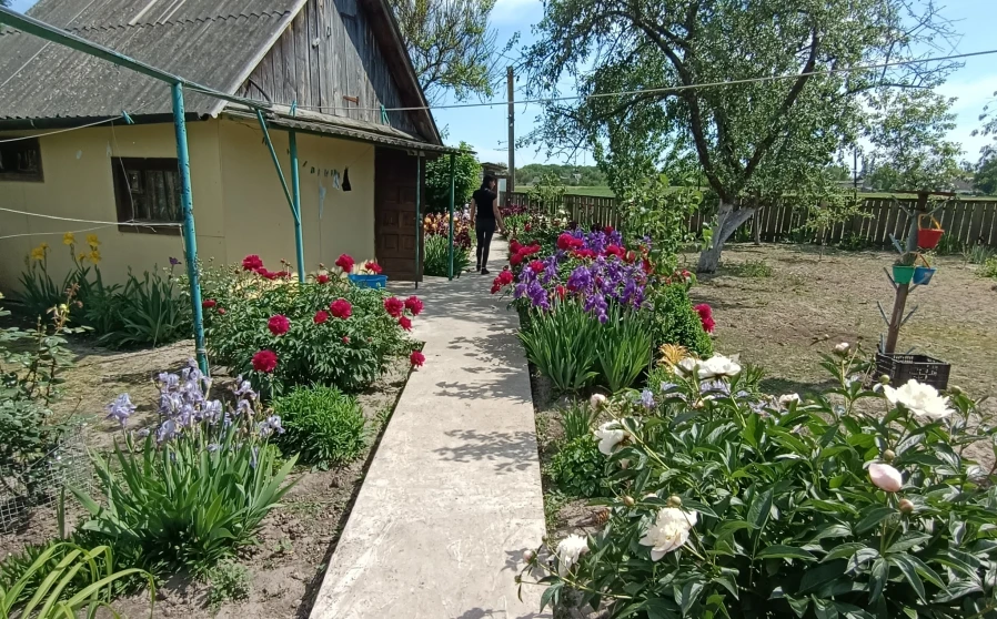 Photo 1. Lot, for sale. Zhytomyr Гормолзавод