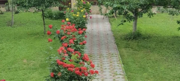 Foto 4. Casa, en venta. Zhytomyr Смолянка
