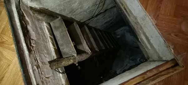 Фото 2. Будинок, продаж. Житомир Максютова