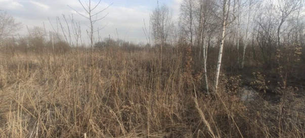 Foto 1. Terreno, en venta. Zhytomyr Крошня