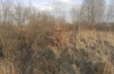 Photo Lot, for sale. Zhytomyr Крошня