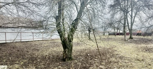 Photo 2. Lot, for sale. Zhytomyr Передмістя