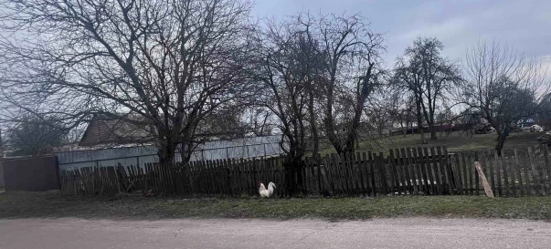 Photo 3. Lot, for sale. Zhytomyr Передмістя