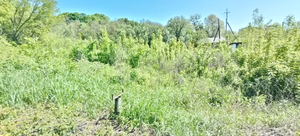 Photo 1. Lot, for sale. Zhytomyr Передмістя