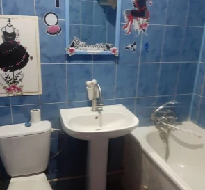 Photo 5. One-Room flat, to rent. Poltava Шевченковский (Октябрьский)