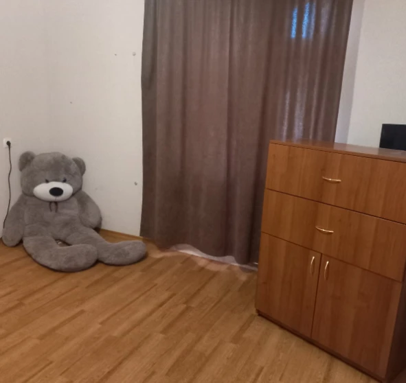 Photo 1. One-Room flat, to rent. Poltava Киевский