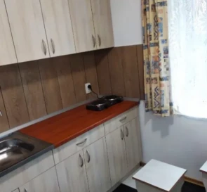 Fotografie 2. Garsonieră apartament, de închiriat. Poltava Шевченковский (Октябрьский)