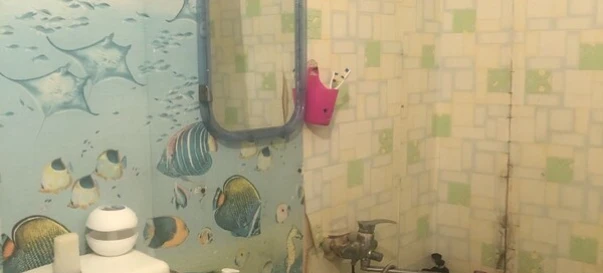 Photo 4. One-Room flat, to rent. Poltava Шевченковский (Октябрьский)