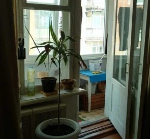 Photo 4. Two-Room flat, to rent. Poltava Киевский