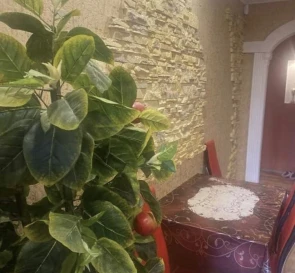Photo 4. Two-Room flat, to rent. Poltava Шевченковский (Октябрьский)