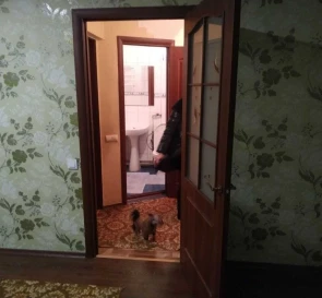 Photo 3. One-Room flat, to rent. Poltava Шевченковский (Октябрьский)