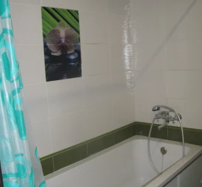 Photo 4. One-Room flat, to rent. Poltava Шевченковский (Октябрьский)