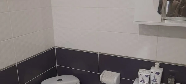 Photo 3. One-Room flat, to rent. Poltava Шевченковский (Октябрьский)