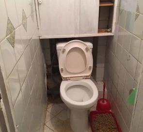 Photo 3. Two-Room flat, to rent. Poltava Шевченковский (Октябрьский)