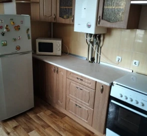 Photo 3. One-Room flat, to rent. Poltava Шевченковский (Октябрьский)