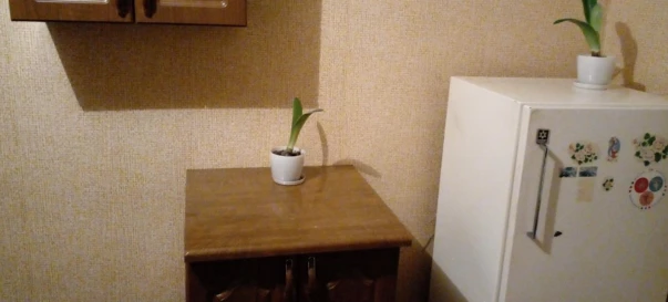 Photo 2. One-Room flat, to rent. Poltava Киевский