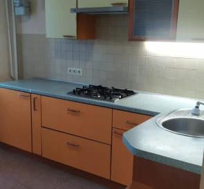 Photo 3. One-Room flat, to rent. Poltava Шевченковский (Октябрьский)