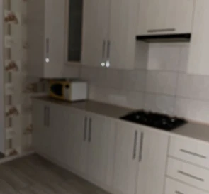 Photo 5. One-Room flat, to rent. Poltava Шевченковский (Октябрьский)