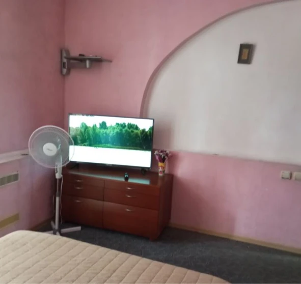 Photo 1. One-Room flat, to rent. Poltava Шевченковский (Октябрьский)