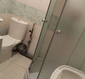Zdjęcie 4. Kawalerka mieszkanie, do wynajęcia. Poltava