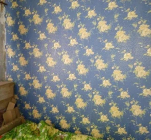 Foto 5. Cuatro Ambientes piso, en venta. Poltava Подольский