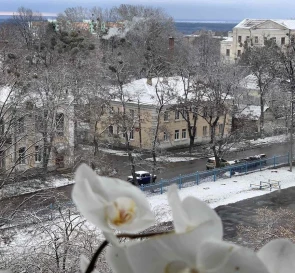 Фото 2. Трикімнатна квартира, продаж. Полтава Шевченковский (Октябрьский)