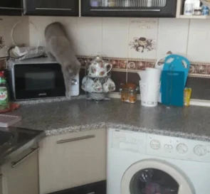 Zdjęcie 2. Trzypokojowe mieszkanie, na sprzedaż. Poltava Киевский