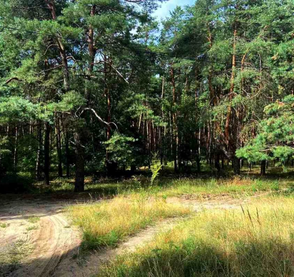 Фото 1. Четырехкомнатная квартира, продажа. Новые Санжары