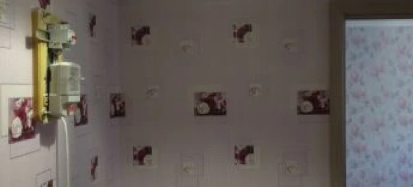 Photo 3. Two-Room flat, to rent. Odesa Хаджибейский (Малиновский)