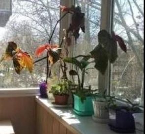 Foto 5. Monoambiente piso, en venta. Odesa Приморский
