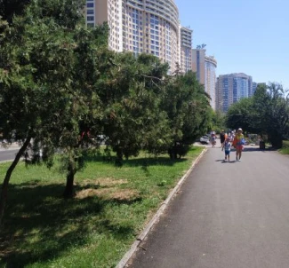 Photo 3. One-Room flat, to rent. Odesa Приморский