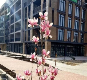 Фото 2. Двокімнатна квартира, продаж. Одеса Киевский