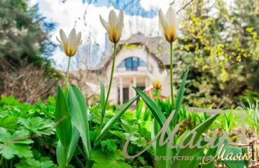 Foto Casa, en venta. Zaporizhzhia Днепровский