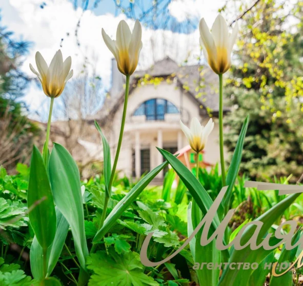Photo 1. House, for sale. Zaporizhzhia Днепровский