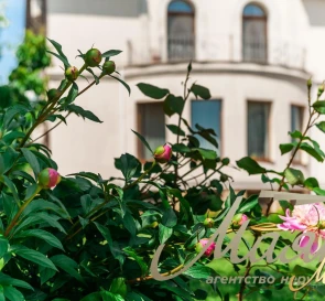 Фото 4. Дом, продажа. Запорожье Вознесеновский