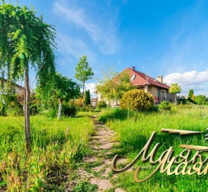 Photo 3. House, for sale. Abrykosivka