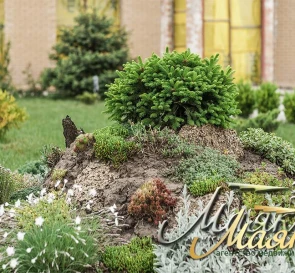 Photo 5. House, for sale. Zaporizhzhia Хортицкий