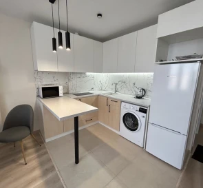 Photo 3. One-Room flat, to rent. Kyiv Дарницкий
