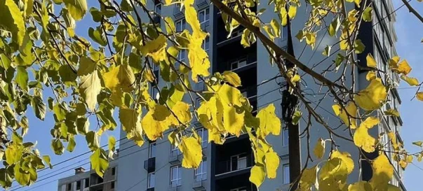 Foto 4. Tres Ambientes piso, en venta. Zaporizhzhia Вознесеновский