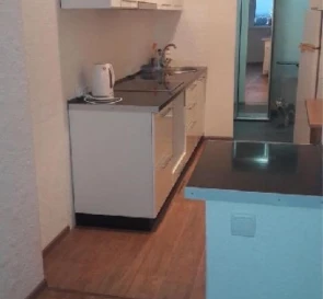 Фото 4. Однокімнатна квартира, продаж. Запоріжжя Хортицкий