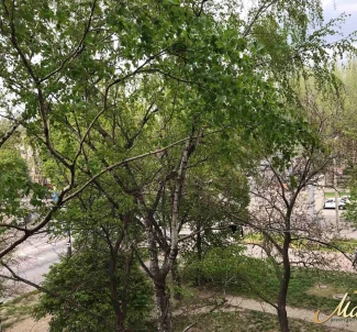 Фото 2. Однокімнатна квартира, продаж. Запоріжжя Александровский