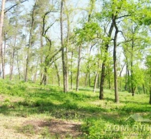 Фото 4. Ділянка, продаж. Ірпінь