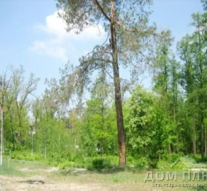 Фото 5. Ділянка, продаж. Ірпінь