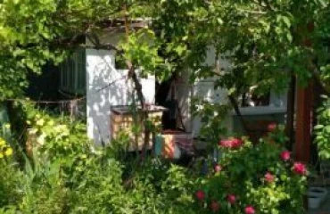 Photo House, to rent. Odesa Киевский