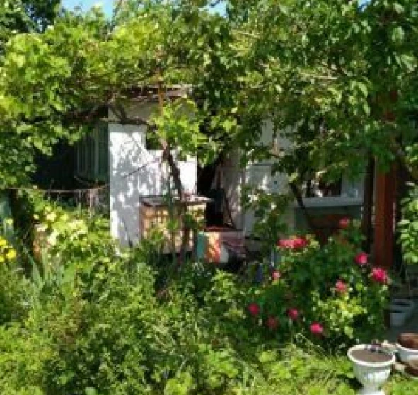 Photo 1. House, to rent. Odesa Киевский