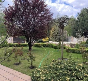Photo 5. House, to rent. Odesa Пересыпский (Суворовский)