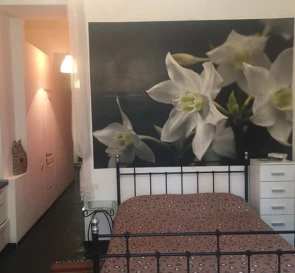 Foto 5. Monoambiente piso, para alquilar. Odesa Приморский