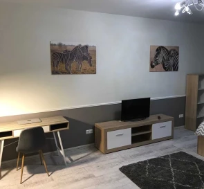 Photo 3. One-Room flat, for sale. Odesa Киевский