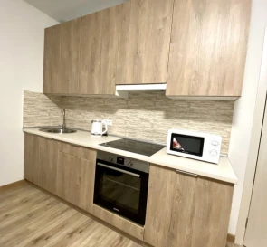 Photo 4. One-Room flat, to rent. Odesa Пересыпский (Суворовский)